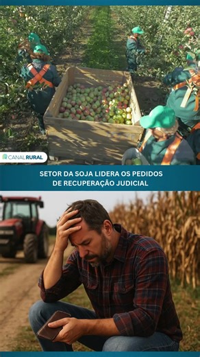 O Brasil fechou 2025 com recorde de recuperações judiciais, e o agronegócio também entrou na estatística. No campo, o setor da soja lidera os pedidos, em um cenário de juros elevados, crédito restrito e margens pressionadas.
