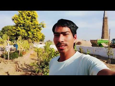 राजस्थान बिकार्नर गावं 14.B.Dभलगं #khaajuvala #popular the sil धमाकादार video #training 🎥🌿