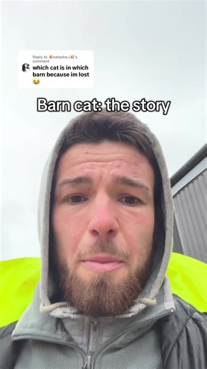 Replying to @💥natasha-j💥 simple really #cat #farming #straycat #barncat #farmcat