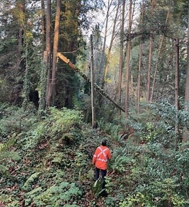 Extremely rare late-season tornado hits north of Vancouver, B.C. - The Weather Network
