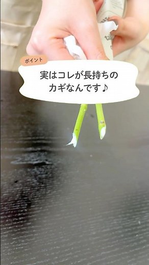 ブルースターの白い液、知ってますか？取り除くだけで3倍長持ち！？ #ブルースター #花のお手入れ #花のある暮らし