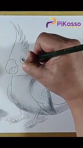 Shading Techniques for Drawing a Cockatiel Bird Easy in Less Than One Minutes