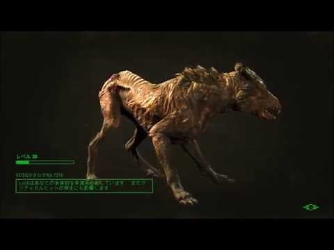 Fallout4のロード時間を改善する方法 How to Reduce Fallout4 Loading Time