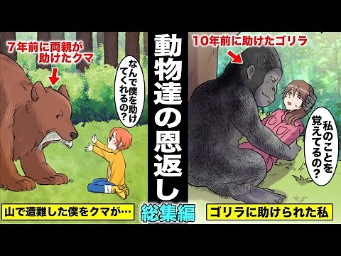 [Manga] People who were repaid by the animals they once helped... A heartwarming story of animals...