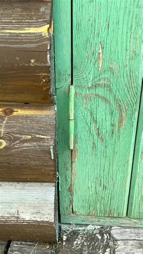 A colorful contrast in textures and colors! 🌈🚪#VibrantVibes #ColorfulLife | Olive Granthem