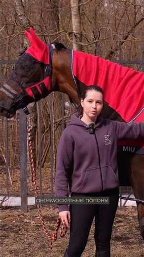 A new video explores the different types of blankets and how to choose the right ones for differe...