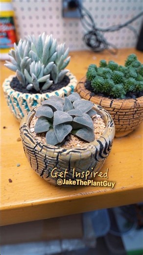 Let’s Pot Up Some Succulents