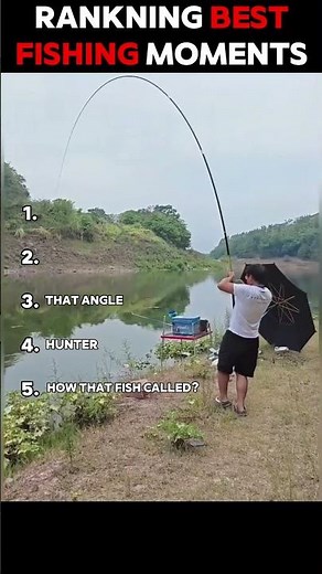 Insane HARPOON Fishing 🎣 🤯🤯🤯