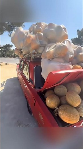 This farmer sells a lot of melons in his cart!!