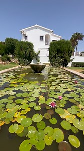✨ Capistrano Village in Nerja ✨ An Andalusian oasis with whitewashed streets, tropical gardens, and beautiful pools 🌿☀️. The perfect place for an unforgettable getaway on the Costa del Sol.🏡 Stay in a charming villa, apartment, or studio — ideal for families, couples, or group holidays.🌊 Just minutes away from Nerja’s beaches and the famous Balcón de Europa. Book your piece of paradise and experience the true soul of southern Spain. 📲 Check availability and prices in @ nerjalovers.com ! #Ner