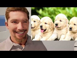 Fast Facial Expressions for MetaHumans