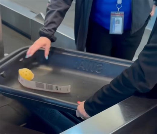Unusual Travel Hack Tested: Southwest Airlines Bags Fly Free And The Solo Pickleball - View from the Wing