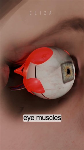 Square Pupils: The Last Thing You’d See 💀🔲