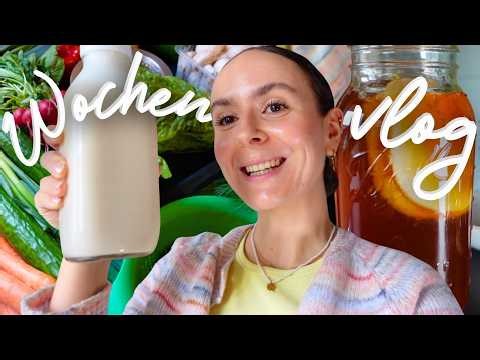 Make your own kombucha & vegan milk + Easter preparations » WEEKLY VLOG