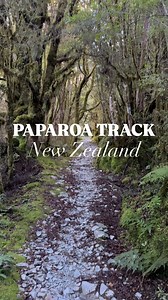 🌄 Within 48 hours of spotting a weather window, I was on the Paparoa Track, taking on this insanely beautiful ride in a single day! From relentless rough climbs to moments of peace in the wilderness, it was a day to be fully present, soaking up every second because “this too shall pass.” 🌲 Want to join me for the ride? This reel is only a snippet! The full adventure is live: link in bio. 🎥🚵‍♀️ #PaparoaTrack #OneDayChallenge #MTBNZ #WildernessAdventure #SeizeTheDay | Katy Winton