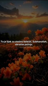 Lijek za 99 bolesti | N-UM.com