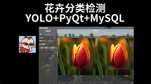 花卉分类检测，YOLOv5/v8/11/12 PyQt MySQL
