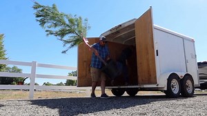 Picking Out Bricks For the New Glass Greenhouse Plant Shopping! 🌿 | Garden Answer