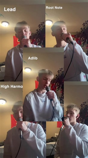 Harmony 2 | #fyp #music #song #harmony #singing