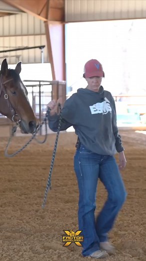 2.9K views · 35 reactions | Meet Spud and watch as Emma takes him through the pattern for the first time! Visit our website: xfactorbarrelracing.com and learn from Abbott Equine on how to introduce the pattern to a young horse  | X Factor Barrel Racing | Facebook