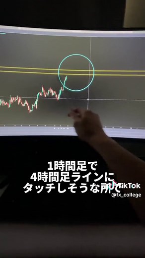結局この手法が1番勝てる🫵#fx初心者はこれを見ろ #fx初心者 #fxトレーダー #fx初心者向け #投資