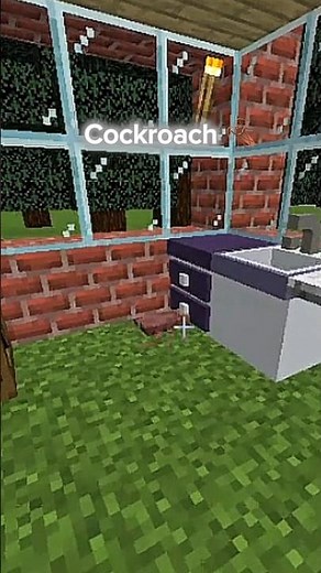 cockroach 🪳#minecraft