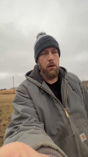 17K views · 361 reactions | The Emu Fence Broke! #emu #fence #emuyard | White House on the Hill | Facebook