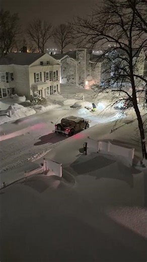 They sent in the National Guard blizzard 2026 #violation #snow