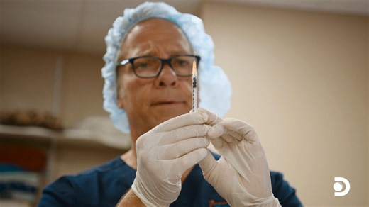 The US could be home to as many as 100 million feral cats, and they aren't shy about making more. Throwback to the time Mike Rowe joined a team of vets doing the important work of capturing, spaying and neutering #Texas's feral cats. Spoiler alert: these patients are less than cooperative. ✂️😼 #DirtyJobs #MikeRowe #cats | Discovery