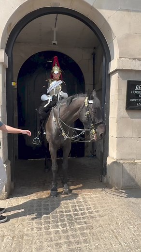 Horse Taking Tourist’s Belongings!!! #royalguard #royalhorse #london #england #pranks #fyp #viral | Royal Guard Of The King