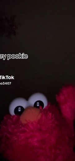 Elmo's Fun Driving Adventures with Pookie