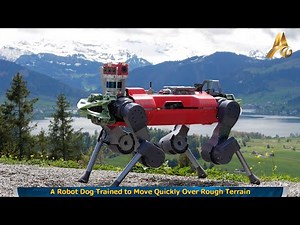 A Robot Dog Trained to Move Quickly Over Rough Terrain