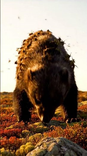 🔥 Ultimate Rage! Shocking Wolverine Fights Unbelievable Swarm Agony! #WolverineCGI #ArcticHorror