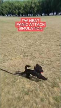 TW: Heat Panic Attack Simulation
