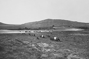 Empire Upon the Trails