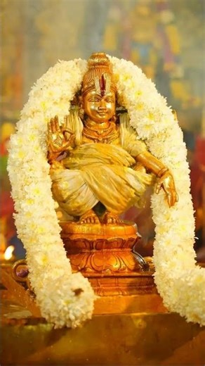 சுவாமியே சரணம் ஐயப்பா 🙏❤️❤️🌺🌸💖🐅🐅