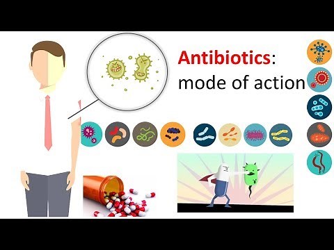 Microbiology : How does antibiotics work?