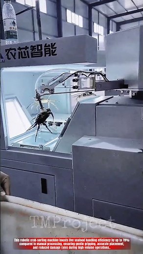 Innovative Crab Sorting Machine Technology: Best Precision Live Seafood Handling