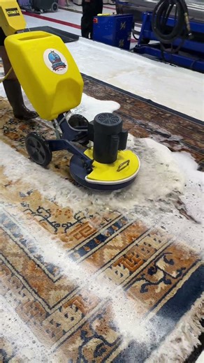 Satisfying Cimex Scrub: Brightening Blue & Orange Fibers