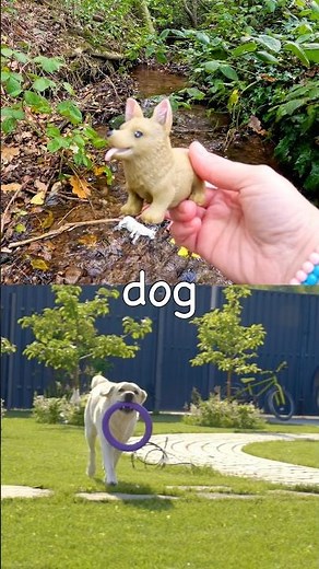 Learn Animal Names for Kids at the Stream: Camel Hedgehog Cow Dog