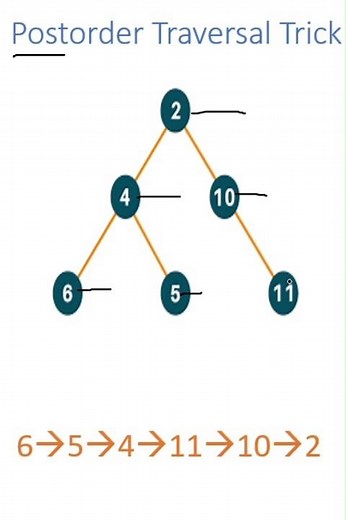 "Post-Order Traversal in 30 Seconds! 🚀 #DSA #BinaryTree"