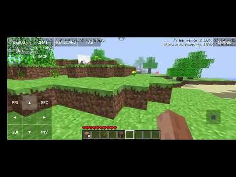 Minecraft java version inf-20100618
