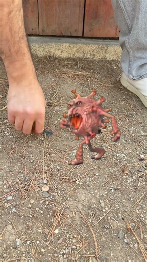 Cute 💫⚡️🌶️🍭🐈🍦🍡🍦