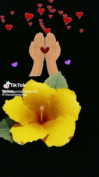 José 14 on TikTok