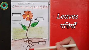 5.1K views · 49 reactions | Parts of a plant worksheets for KG and Grade 1 kids | Sudarshan Kids | Facebook