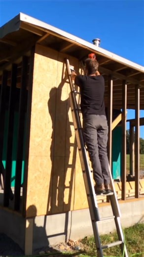 Danner Cronise on Instagram: "Sheathing install on the Home Depot shed tiny house #diy #tinyhouse #shedhouse"