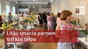 Liliju smarža pārņēmusi Dabas muzeju, jo no šodienas tur karaliskos ziedus var apskatīt un arī pasmaržot. Apmeklētāju vasaras priekam dižojas aptuveni 150 selekcionāru radītu šķirņu no visas Latvijas. Izstāde šogad ir īpaša, jo aprit 30 gadu, kopš muzejā tiek rīkotas liliju izstādes. https://replay.lsm.lv/lv/ieraksts/ltv/332147/liliju-smarza-parnem-izstazu-telpu | LTV Ziņu Dienests