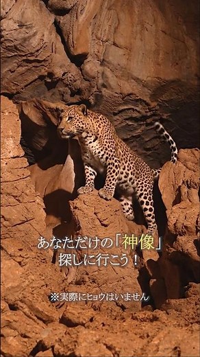 小堀谷鍾乳洞(青谷鍾乳洞) 静岡県浜松市