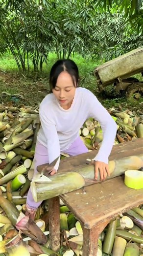Best sweet spot for harvesting bamboo shoots 🎋 #bamboo #farming #shortsfeed