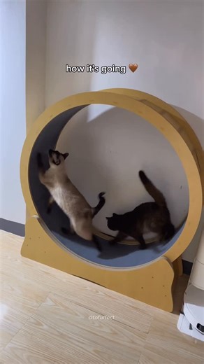 TOFU on Instagram: "6 months later... 🥹"